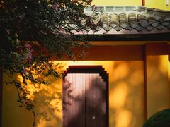 -迎江寺
