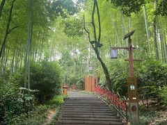 -天目湖山水园
