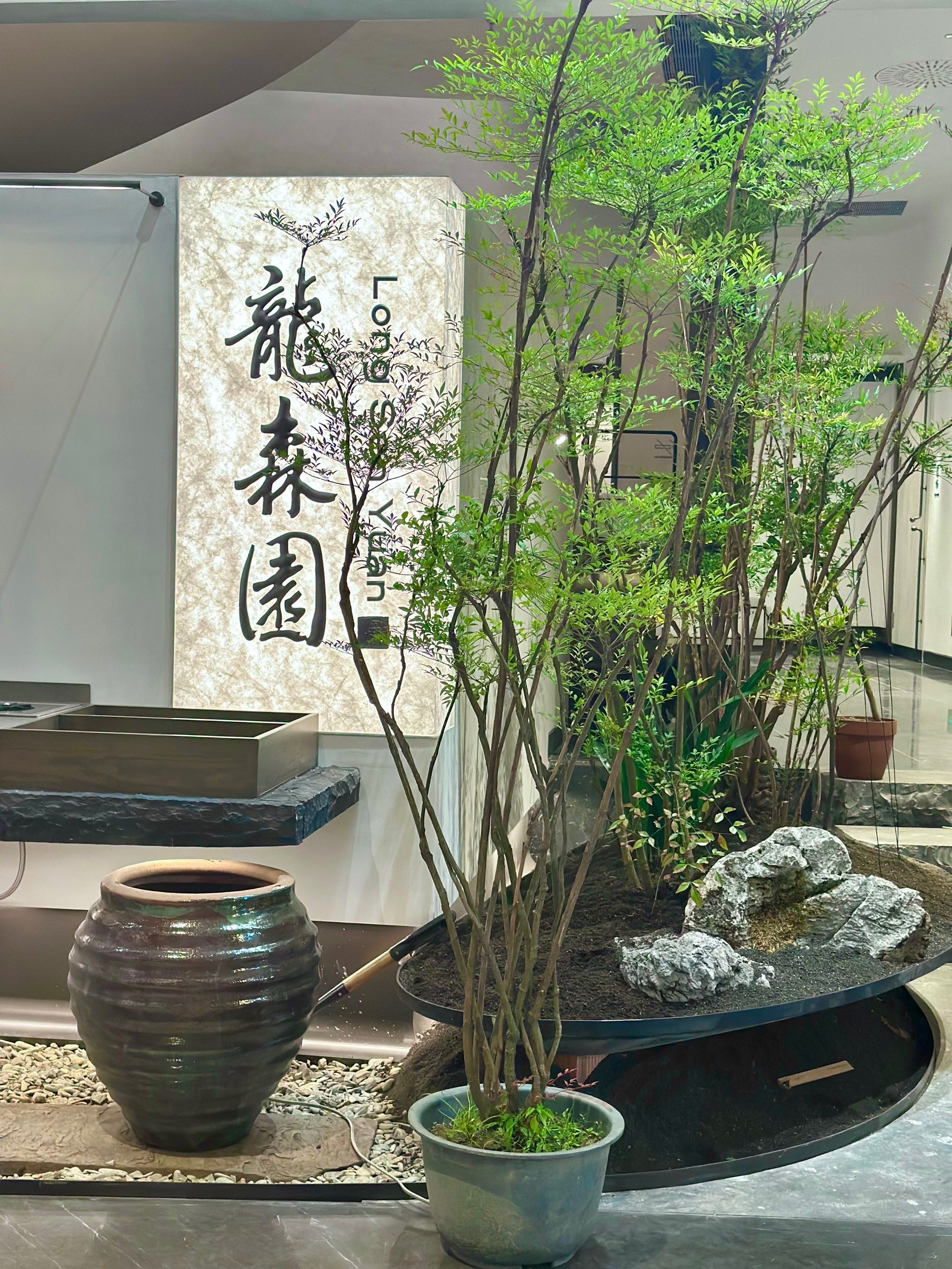 成都老牌火锅龙森园也入驻华商金融中心了