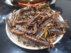 -涿派·炝锅鱼(涿州店)