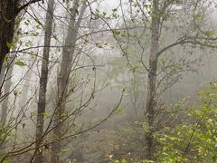 -妙峰山风景名胜区