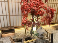 -庆春朴门