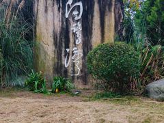 -白鹭湾湿地公园