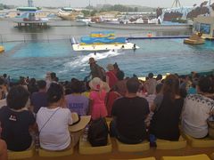 -秦皇岛乐岛海洋王国