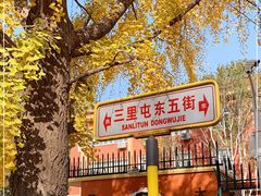 -三里屯东五街银杏大道