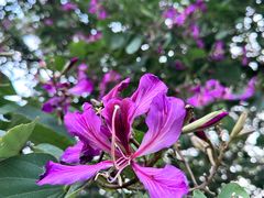 -攀枝花公园