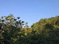 -故乡缘·香格里拉山庄(冷竹路店)