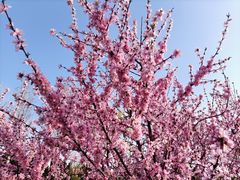 -湖洞水自然风景区