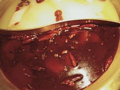 牛腩锅底-九鼎轩火锅大排挡