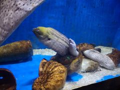 -华夏文旅海洋公园