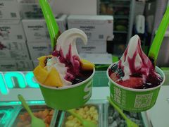 -Salud撒露欧洲冻酸奶(五道口购物中心店)