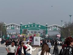 -荷兰花海