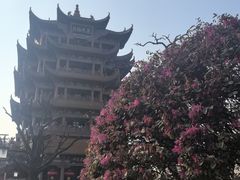 -黄鹤楼公园(黄鹤楼)