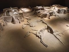 -洛阳周王城天子驾六博物馆