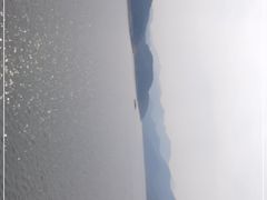 -望湖烤鱼