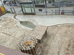 -横道河子东北虎林园