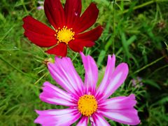 -梁鸿国家湿地公园