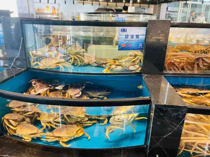 "-大众点评移动版