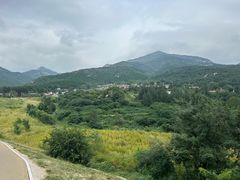 -泰山风景名胜区-虎山公园