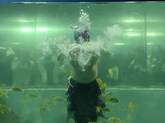 -苏州海洋馆