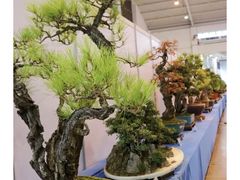 -昆明滇池国际会展中心