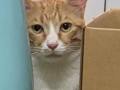 -荔康动物医院(康王北路店)