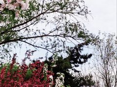-建国门(地铁站)