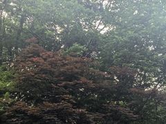 -杭州西湖柳莺里酒店·闻莺厅