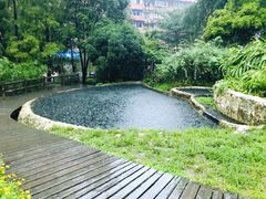 -成都市活水公园