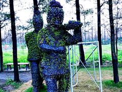 -上海长兴岛郊野公园