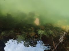 -湖洞水自然风景区