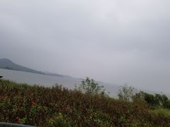 -杏花村文化旅游区