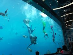 -瑞德姆美人鱼海底演艺主题餐厅(亚龙湾店)