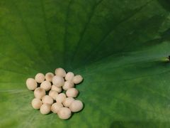 -桂语山房(满觉陇店)