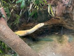 -上海大自然野生昆虫馆(东方明珠·爬宠昆虫探索中心)