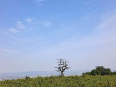 -浮槎山