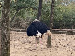 -杭州野生动物世界
