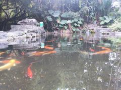 -青青世界