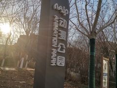 -国家动漫园
