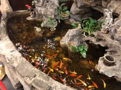 -九花山烤鸭店