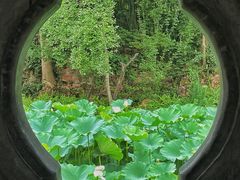 -马旺子酒楼