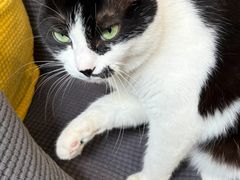 -路易时光(蕴川路店)