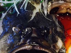 清蒸石斑鱼-鱼乐轩·俄罗斯海鲜直供餐厅(群力店)