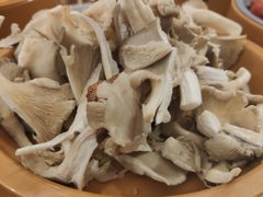 蘑菇-龍歌自助小火锅(李沧丽达店)