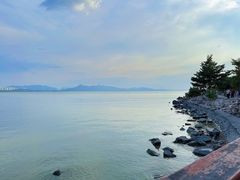 -深圳湾公园(南山区)