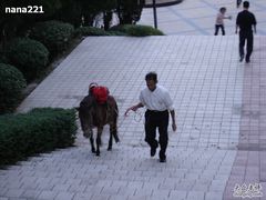 -中央革命根据地历史博物馆