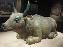 -宁夏博物馆