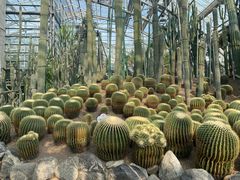 -南山植物园