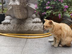 -福州开元寺