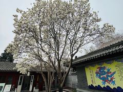 -北京石刻艺术博物馆(五塔寺)
